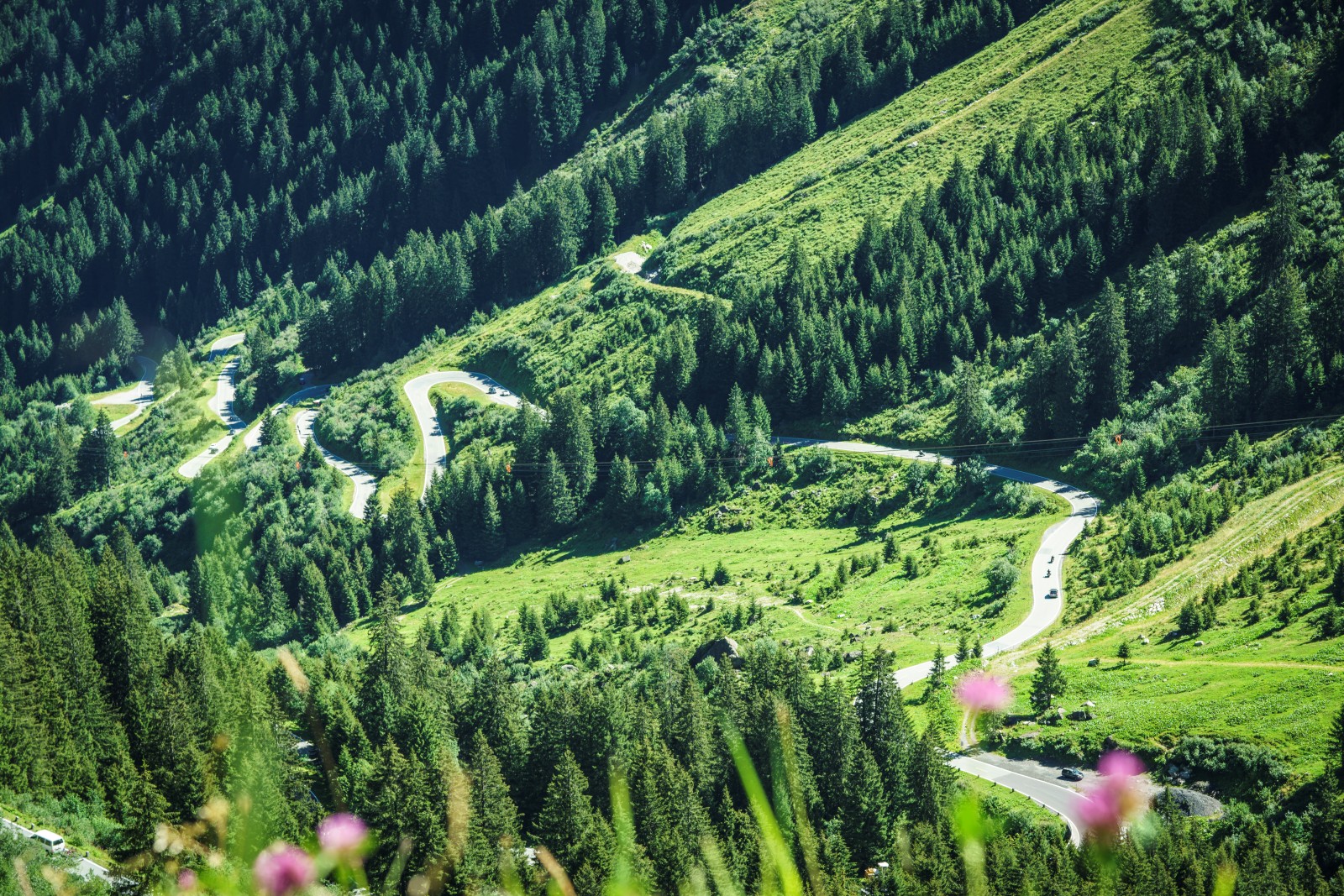 Scenic Drives – The Alpine Cinema
